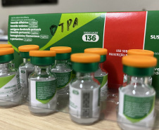 SESA ALERTA AUMENTO CASOS COQUELUCHE
