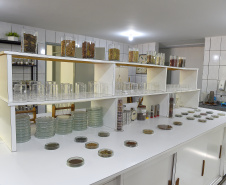 Paraná Mais Verde versão 2025 terá o início da reestruturação dos viveiros e laboratórios de sementes administrados pelo IAT
