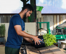 Paraná Mais Verde versão 2025 terá o início da reestruturação dos viveiros e laboratórios de sementes administrados pelo IAT