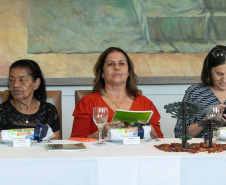 MERENDEIRAS CONCURSO