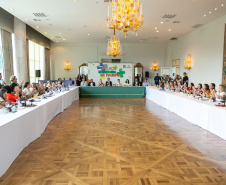 MERENDEIRAS CONCURSO