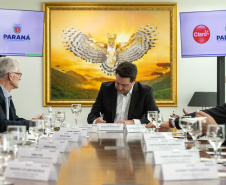PARCERIA CLARO