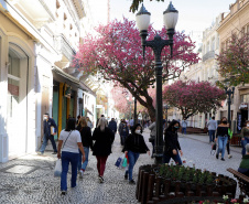 comercio