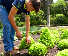 GANHANDO O MUNDO AGRO