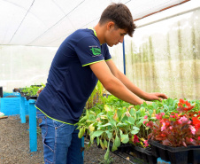 GANHANDO O MUNDO AGRO