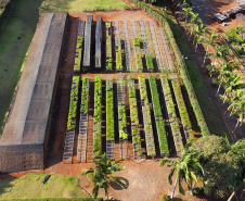 Paraná Mais Verde versão 2025 terá o início da reestruturação dos viveiros e laboratórios de sementes administrados pelo IAT