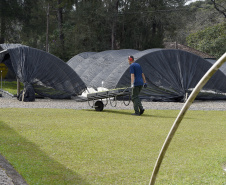 Paraná Mais Verde versão 2025 terá o início da reestruturação dos viveiros e laboratórios de sementes administrados pelo IAT