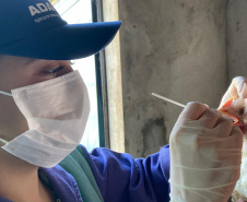 Adapar inicia ciclo de vigilância ativa contra Influenza Aviária e Doença de Newcastle no Paraná