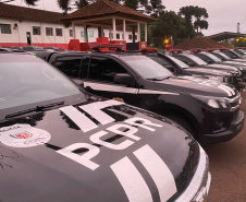 PCPR, PPPR e GM desarticulam associação criminosa envolvida com o tráfico de drogas nos Campos Gerais