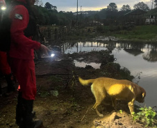 Corpo de Bombeiros encontra menina desaparecida em General Carneiro