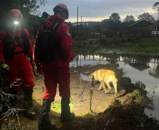 Corpo de Bombeiros encontra menina desaparecida em General Carneiro