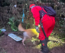 Corpo de Bombeiros encontra menina desaparecida em General Carneiro
