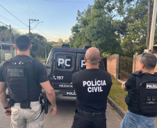 PCPR desmantela esquema para a produção de maconha em Piraquara