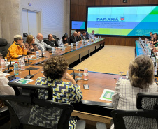 SESA INTENSIFICA COMBATE À DENGUE