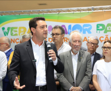 GOVERNADOR