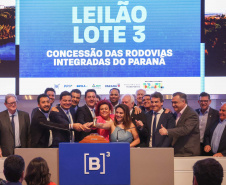 leilão