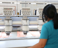 Paraná alcança saldo positivo de 128,4 mil empresas em novembro