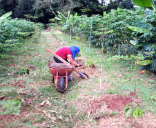 UEM PRODUÇÃO ORGÂNICA COMPLETA 20 ANOS
