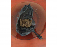 PCPR e PMPR prendem quatro pessoas durante operação contra o tráfico de drogas em Rio Azul