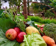 SEAB - Em 2024, Paraná investiu mais de R$ 250 milhões em segurança alimentar