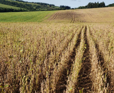 Os municípios do Paraná em situação de emergência por adversidades climáticas contaram em 2024 com a ajuda do Fundo Estadual para Calamidade Pública (Fecap). Ao todo 15 prefeituras receberam valores entre R$ 35 mil e R$ 6,7 milhões para auxiliar na assistência às famílias afetadas por enxurrada ou pela estiagem que levou o governador do Estado a decretar situação de emergência em todo Paraná.