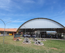 parceiro