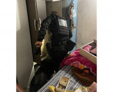 PCPR e PMPR prendem 10 pessoas em flagrante por tráfico durante operação no Oeste do Estado