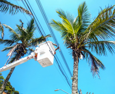 Copel reforça sistema elétrico do Litoral e dos balneários no Oeste e Noroeste para a temporada de verão
