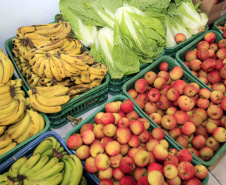 SEAB - Em 2024, Paraná investiu mais de R$ 250 milhões em segurança alimentar
