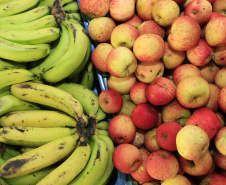  Infraestrutura, alimentação e mais: Educação do Paraná avança com investimentos e projetos inovadores