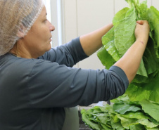  Infraestrutura, alimentação e mais: Educação do Paraná avança com investimentos e projetos inovadores