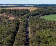 Lote 6 das concessões terá duplicação de Cascavel a Nova Laranjeiras