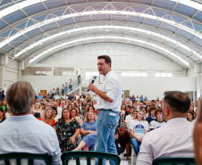 maringá