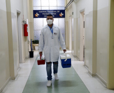 transplante