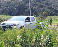 Multa por crimes ambientais cresce 24% no Paraná entre janeiro e novembro de 2024