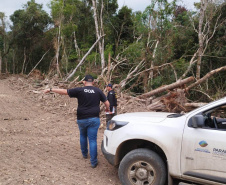 Multa por crimes ambientais cresce 24% no Paraná entre janeiro e novembro de 2024