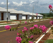 COHA