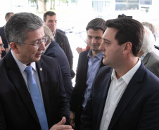 GOVERNADOR