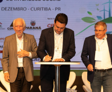GOVERNADOR