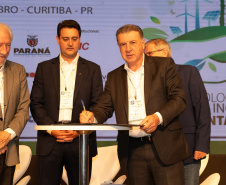 GOVERNADOR