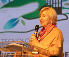 GOVERNADOR