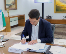 GOVERNADOR