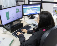 Paraná alcança marca inédita no tempo para abertura de empresas em 2024