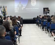 PCPR REUNIÃO VERÃO MAIOR
