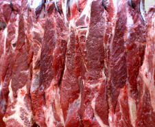Boletim Agropecuário analisa redução no preço da arroba bovina