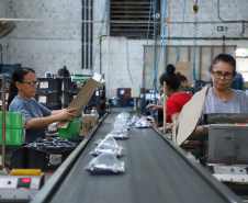  Participação das mulheres no mercado de trabalho cresce 60% no Paraná em um ano