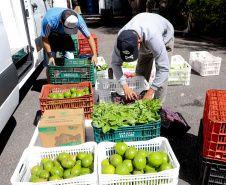 COMPRA DIRETA – O programa que visa adquirir gêneros alimentícios de cooperativas ou associações da agricultura familiar, para entregar diretamente à rede socioassistencial do Estado, beneficiou cerca de mil entidades filantrópicas do Paraná, atendendo 358,6 mil pessoas com o recebimento de alimentos diversificados.