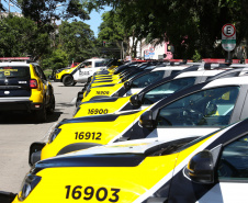 Reforço nas estradas: DER/PR entrega 36 viaturas e 5 cães ao Batalhão de Polícia Rodoviária