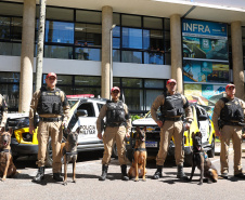 Reforço nas estradas: DER/PR entrega 36 viaturas e 5 cães ao Batalhão de Polícia Rodoviária