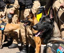 Reforço nas estradas: DER/PR entrega 36 viaturas e 5 cães ao Batalhão de Polícia Rodoviária